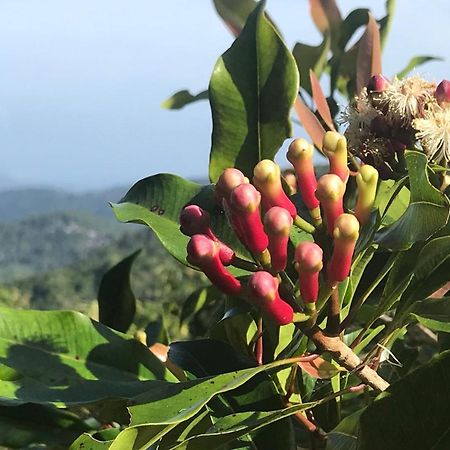 Munduk Clove Екстериор снимка